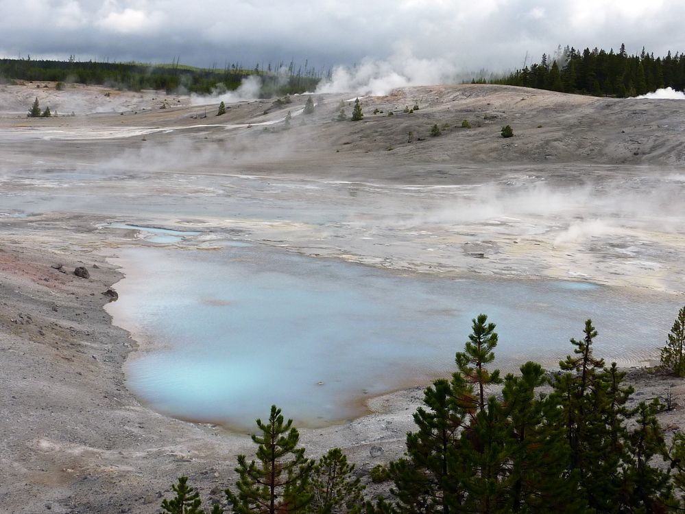 Yellowstone Norris Geyser (121).JPG